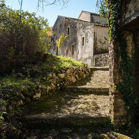 The Swallow's Seaview Nest By Konnect *